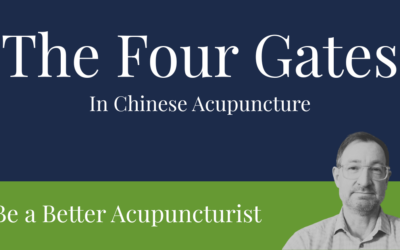 Four Gates Acupuncture: LI4 + LV3 Point Combination Explained