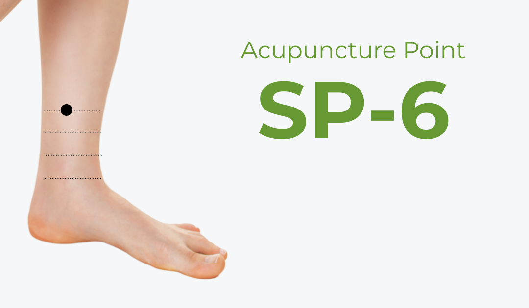 SP6 Acupuncture Point (Sanyinjiao): The Complete Clinical Guide