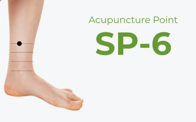 SP6 Acupuncture Point (Sanyinjiao): The Complete Clinical Guide
