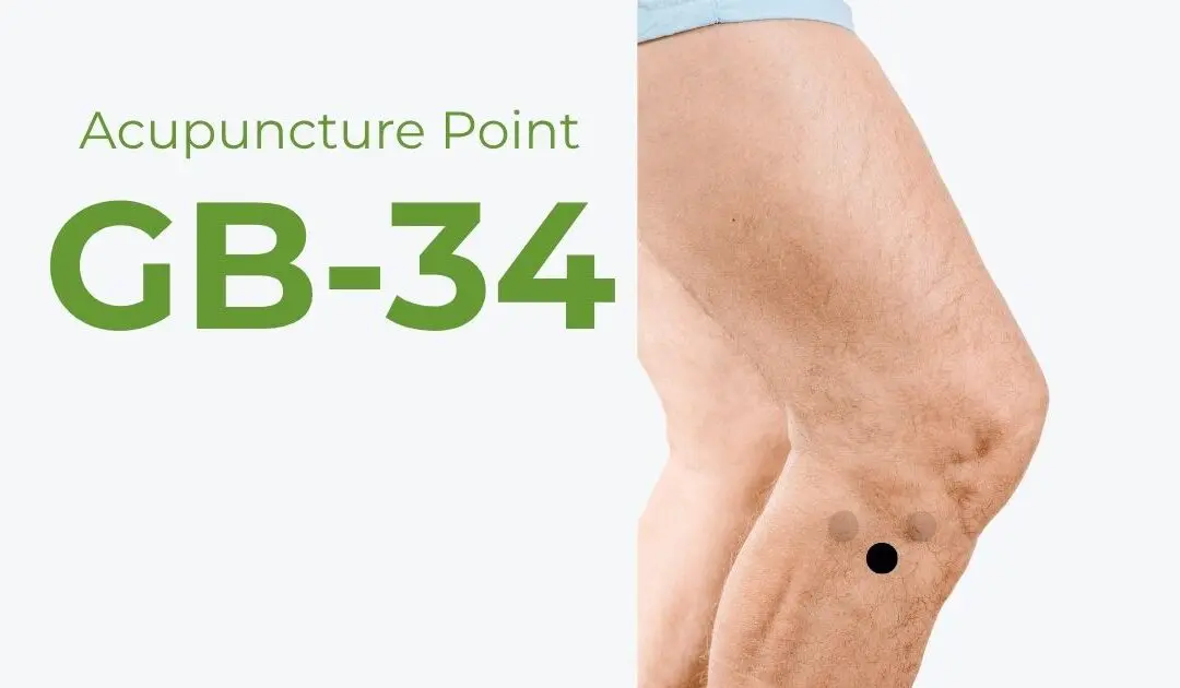 GB34 Acupuncture Point (Yanglingquan): A Very “Influential” Acupuncture Point