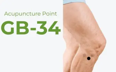 GB34 Acupuncture Point (Yanglingquan): A Very “Influential” Acupuncture Point