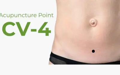 CV4 Acupuncture Point: The Point at Our Centre of Gravity