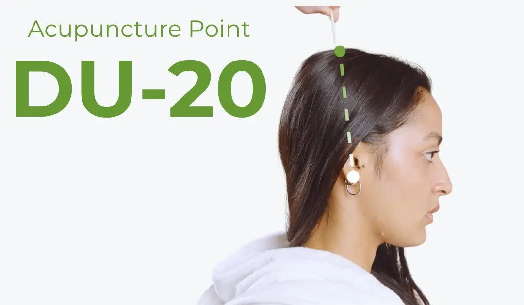 DU20 (Baihui): One Point, Two Directions — Raising Yang and Calming Shen