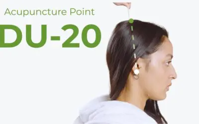 DU20 (Baihui): One Point, Two Directions — Raising Yang and Calming Shen