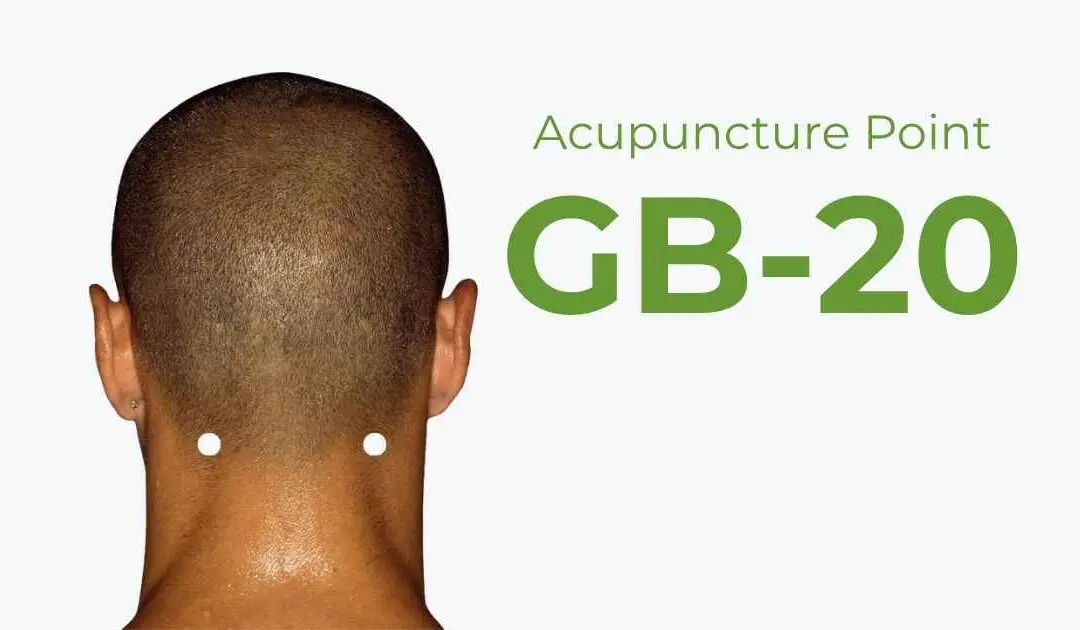 GB20 Acupuncture Point: Headaches, Neck, Eyes and Ears?