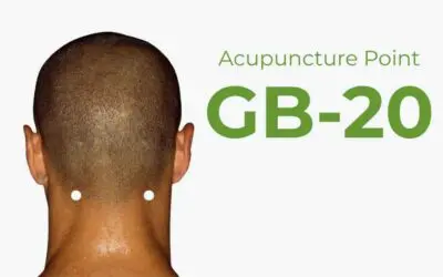 GB20 Acupuncture Point: Headaches, Neck, Eyes and Ears?