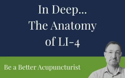 De Qi at LI4: The Anatomy That Makes This Point Feel Weird