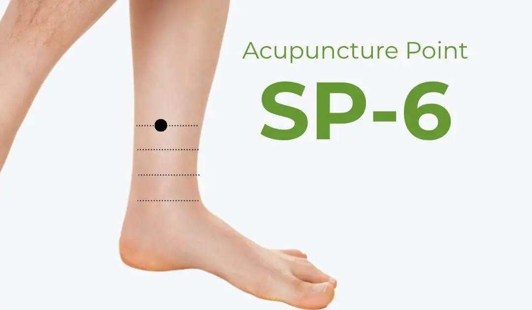 SP6 Acupuncture Point:  MD’s Use This Point – Find Out Why