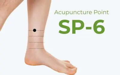 SP6 Acupuncture Point:  MD’s Use This Point – Find Out Why