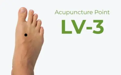 LV3: The Point for When You’re Just…Irritated