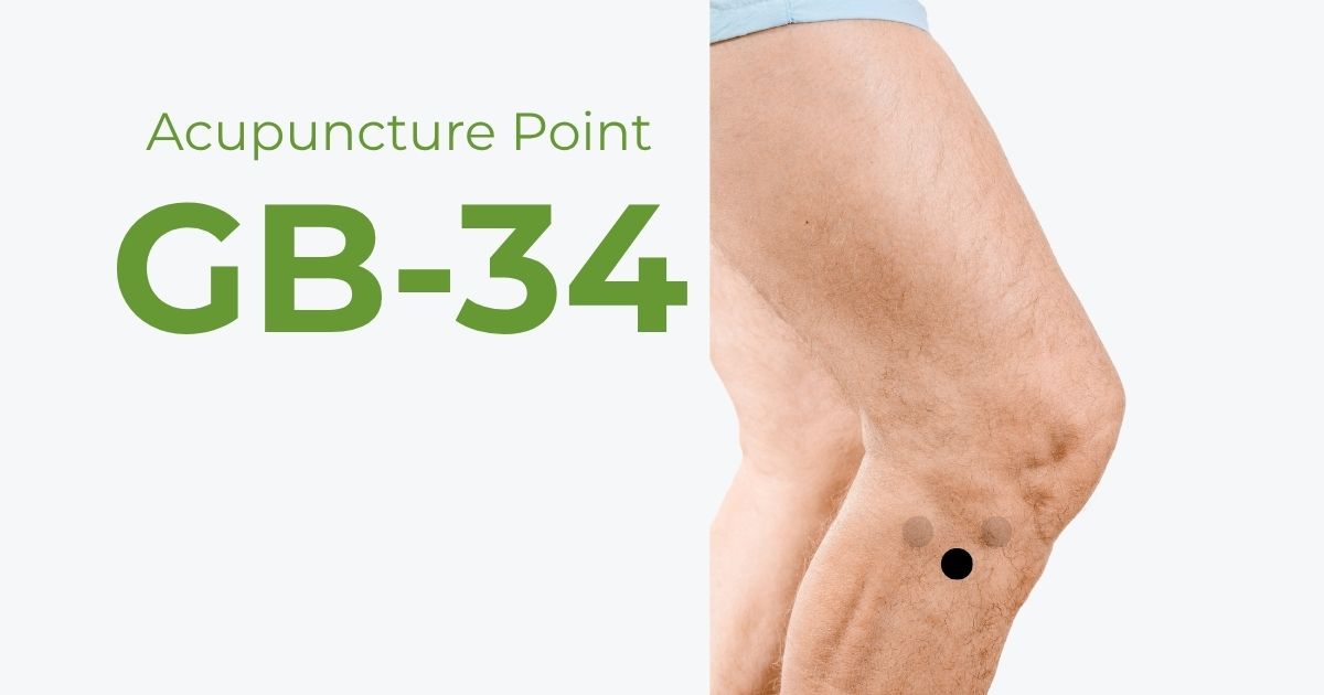 GB34 Acupuncture Point