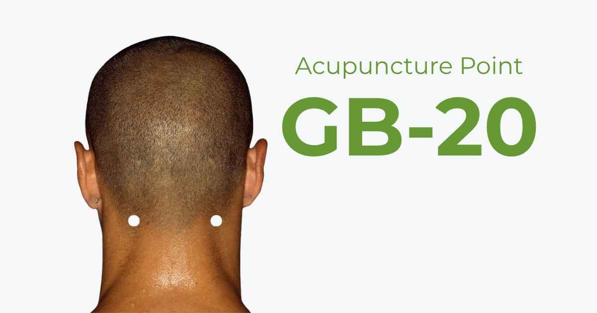 GB20 AM blog image Acupuncture Point GB-20